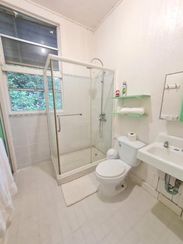 a bathroom with a shower and a toilet and a sink at Drago Beach House - Private Beach in Boca del Drago