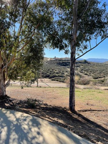 a shadow of trees on a dirt road at Yurt Escape with Amazing Country Views in Temecula