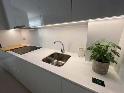 un comptoir de cuisine avec un évier et une plante en pot dans l'établissement Apartamento La Canela, à Nerja