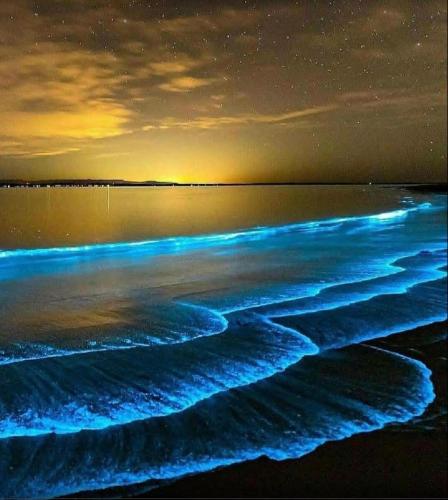 a view of the ocean at night at The Husky House or Little Husky Studio Suite in Huskisson