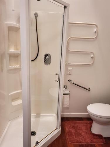 a bathroom with a shower and a toilet at Sunshine Valley in Auckland