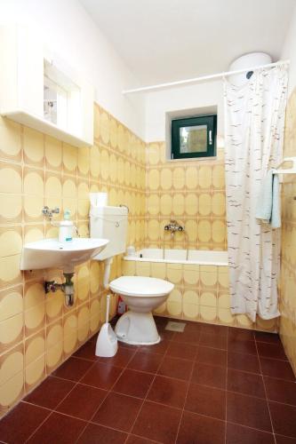 a bathroom with a toilet and a sink at Seaside secluded apartments Cove Zavala - Gdinj, Hvar - 5717 in Bogomolje