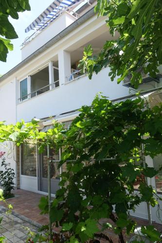 Apartment Nin 5805b – Photos 3