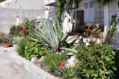 a garden with flowers and plants in front of a house at Apartments by the sea Trstenik, Peljesac - 4570 in Trstenik