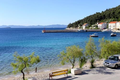 a car parked on a beach next to a body of water at Apartments by the sea Trstenik, Peljesac - 4570 in Trstenik