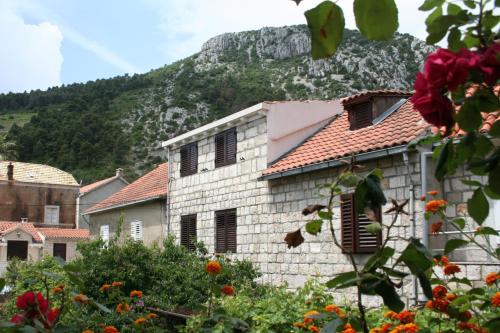 Trstenik