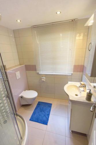 a bathroom with a toilet sink and a blue rug at Apartment Skozanje 5713d in Gdinj
