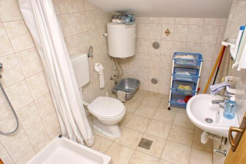 維拉西茨的住宿－Apartment Vlasici 4319a，一间带卫生间和水槽的浴室