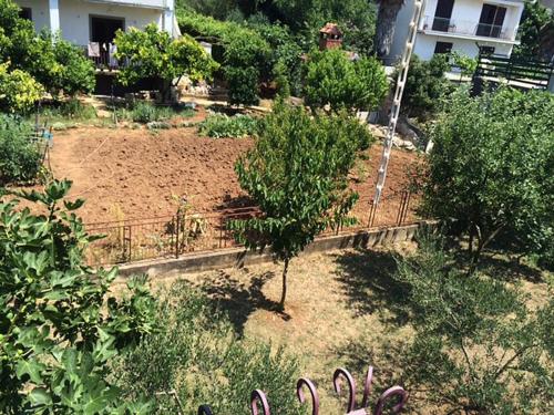 Zahrada ubytování Apartments with WiFi Sveti Filip i Jakov, Biograd - 4299