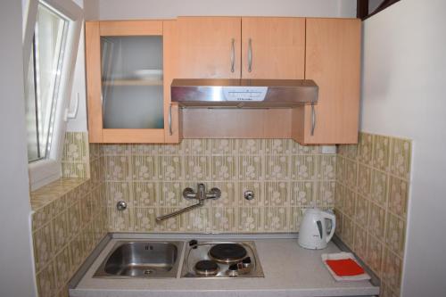 Kuchyň nebo kuchyňský kout v ubytování Apartments with WiFi Sveti Filip i Jakov, Biograd - 4299