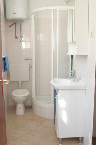 a bathroom with a toilet and a shower and a sink at Apartments by the sea Brna, Korcula - 4415 in Smokvica