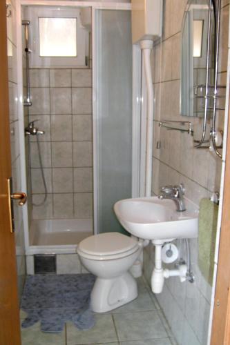 a bathroom with a toilet and a sink and a shower at Apartment Zarace - Gdinj 4598a in Gdinj