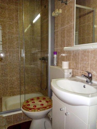 a bathroom with a toilet and a sink and a shower at Apartment Racisce 4360a in Račišće