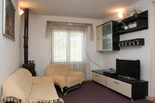 Apartments with parking space Zrnovska Banja, Korcula - 4426