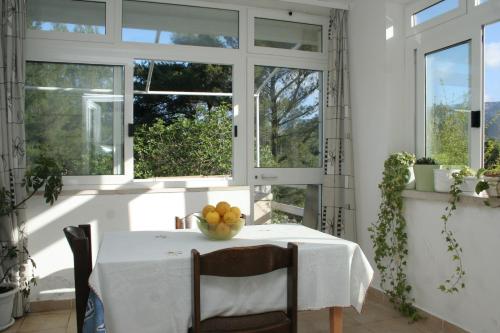 Apartments with parking space Zrnovska Banja, Korcula - 4426