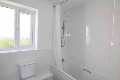 a bathroom with a shower and a toilet and a window at Waters Reach in Kingsbridge