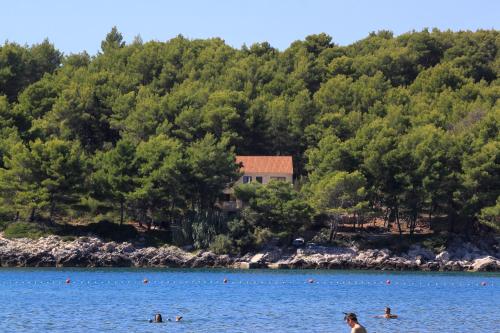 Fotografia z galérie ubytovania Seaside apartments with a swimming pool Lumbarda, Korcula - 4404 v destinácii Lumbarda