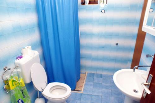 a bathroom with a toilet and a blue shower curtain at Seaside apartments with a swimming pool Lumbarda, Korcula - 4404 in Lumbarda