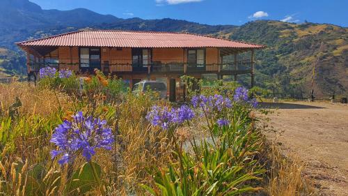 une maison au sommet d'une colline avec des fleurs violettes dans l'établissement Balcones de El Carrizal, à El Cocuy