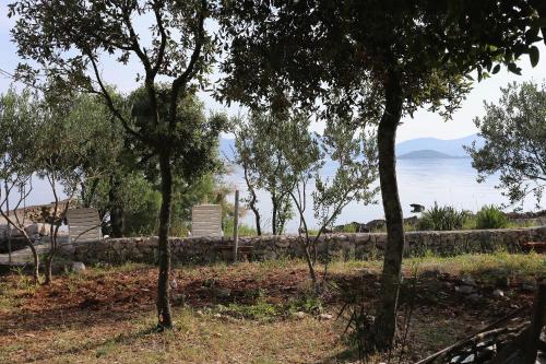 Φυσικό τοπίο κοντά σε αυτό το διαμέρισμα