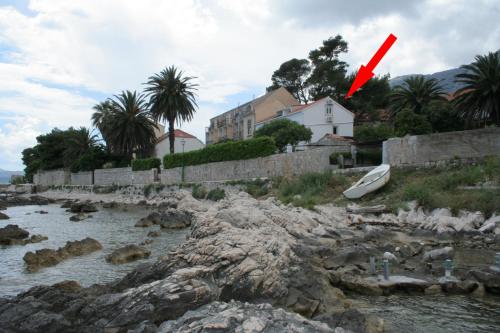 Apartments by the sea Orebic, Peljesac - 4521