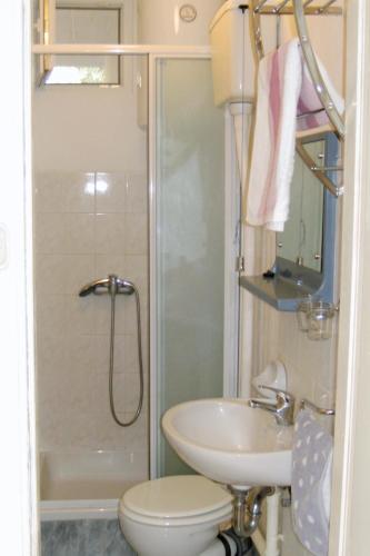 a bathroom with a shower and a sink and a toilet at Apartments by the sea Cove Zarace - Gdinj, Hvar - 4598 in Gdinj