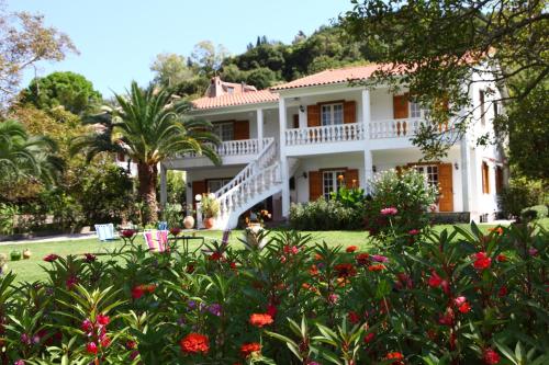 Κήπος έξω από το Villa Karidia