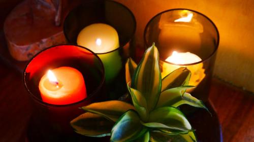 a table with two candles and a potted plant at Hotel Restaurante Los Cocos in Santa Cruz