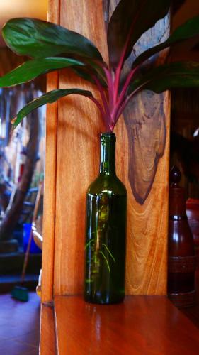 a green bottle sitting on a table with a plant in it at Hotel Restaurante Los Cocos in Santa Cruz
