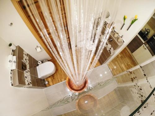 a bathroom with a shower and a toilet in it at Rezidence Mandragora in Pardubice