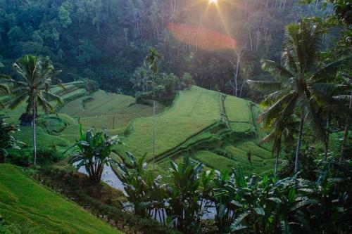 Suarapura Resort & Spa – Photos 5