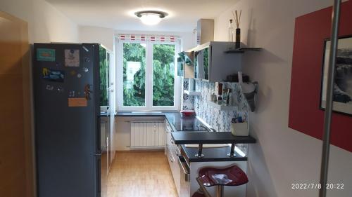 a kitchen with a black refrigerator and a window at city center park view appartment in Maribor