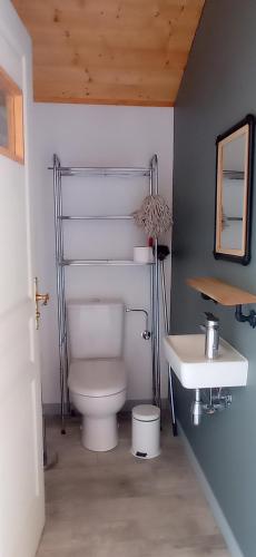 une salle de bain avec toilettes et lavabo dans l'établissement Haut pré de ces Dames, à Cornimont
