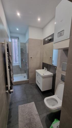 カトヴィツェにあるKatowice Apartments Center Kopernika 2のバスルーム(トイレ、洗面台、シャワー付)