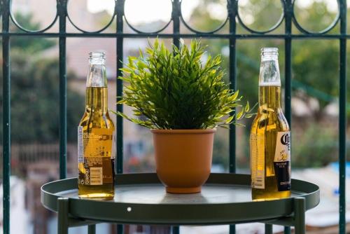 two bottles of beer on a table with a potted plant at Musrara #3 in Jerusalem