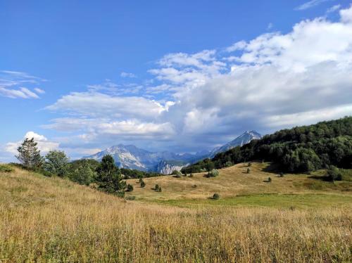 a field of grass with mountains in the background at Apartmani Košuta in Tjentište
