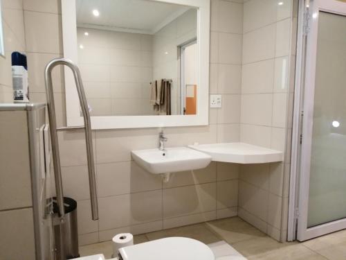 a bathroom with a sink and a mirror and a toilet at Capbon Guesthouse in Windhoek