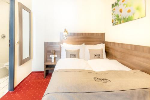 a bedroom with a large bed and a mirror at Hotel Leonet in Cologne