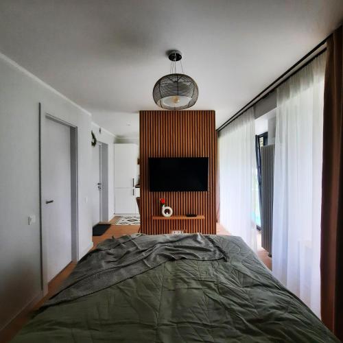 een slaapkamer met een groot bed en een televisie bij Kesterciems seaside apartment with terrace in Ķesterciems
