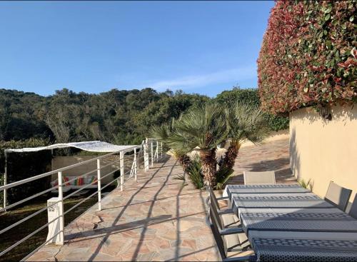 une passerelle avec des bancs et des palmiers sur une colline dans l'établissement F3 non fumeur, jacuzzi, verdure à 3 mn de la mer, à Grosseto-Prugna