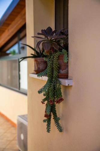 Φωτογραφία από το άλμπουμ του I Lecci Guesthouse σε San Felice Circeo