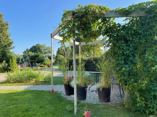 a pergola with potted plants in a garden at Mono House in Rusnė