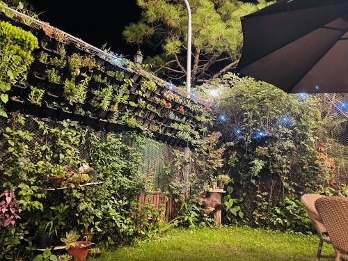 House of lightsにある庭