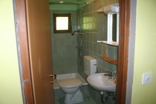 a bathroom with a toilet and a sink at Hostel Flores in Kostanjevac