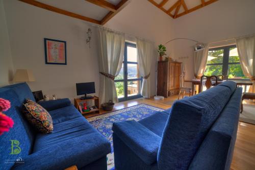 a living room with a blue couch and a blue rug at Quinta da Bouça - Agroturismo in Paços de Gaiolo