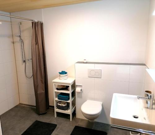 a bathroom with a toilet and a shower and a sink at Apartment BergIN in Raggal