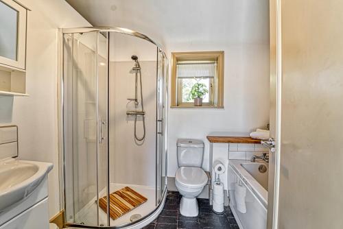 a bathroom with a shower and a toilet and a sink at Guest Homes - Snodsbury Barn in Upton Snodsbury