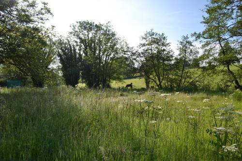Large Luxury Shepherds Hut with Hot Tub nr Bath photo 15