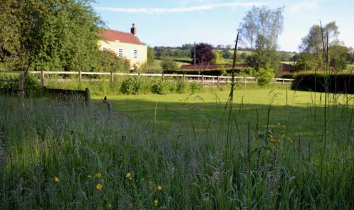 a field of grass with a house in the background at Large Luxury Shepherds Hut with Hot Tub nr Bath in Bristol