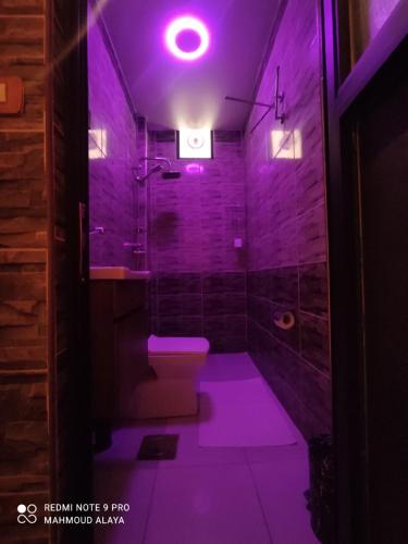 une salle de bains pourpre avec toilettes et lavabo. dans l'établissement Petra Wooden House, à Wadi Musa